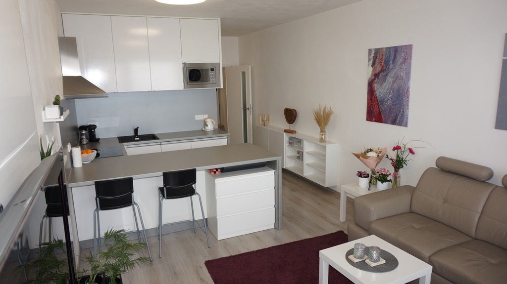 Pronájem bytu 1,5+kk Brno-Slatina, ul. Řípská